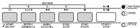 YAMAHA PSR-E443 - NOTE - 1