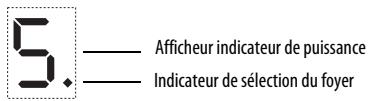 WHIRLPOOL ACM808NE & ACM 808/NE - Activation et réglage du foyer - 1