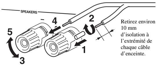 YAMAHA R-S300, RS300 - Attention - 1