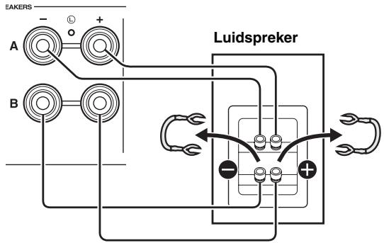 YAMAHA R-S300, RS300 - Dumbel bedrade aansluiting - 1