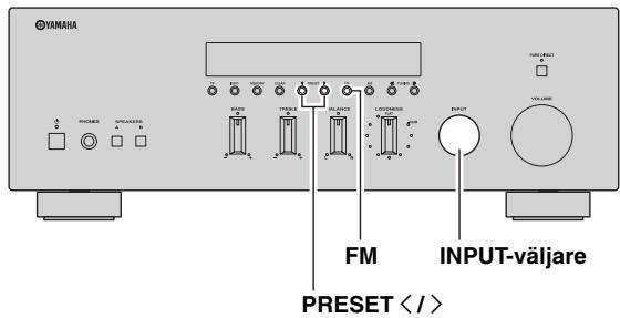 YAMAHA R-S300, RS300 - Anmärkningar - 2