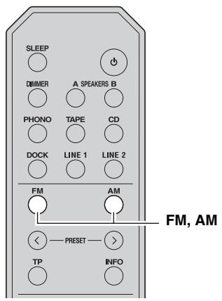 YAMAHA R-S300, RS300 - PpimeyaHne - 5