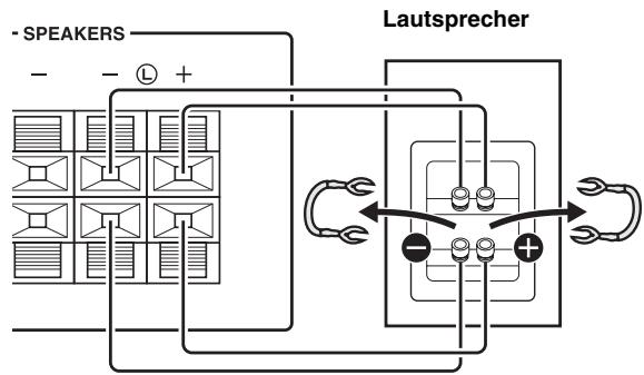 YAMAHA RS201 - Bi-Wiring-Anschluss - 1