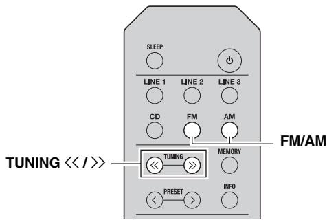 YAMAHA RS201 - Hinweise - 1