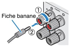 YAMAHA RX-A2010 - Utilisation d'une fiche banane - 1