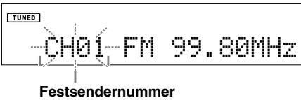 YAMAHA T-S500 - Hinweis - 1