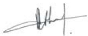 WIKO JERRY 2 - Limin de responsabilité - 1