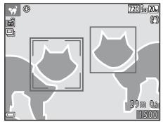 NIKON COOLPIX L330 - Zone de mise au point - 1