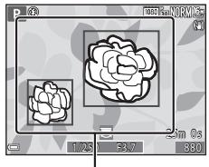 NIKON COOLPIX S9900 - Utilisation de AF sur le sujet principal - 1