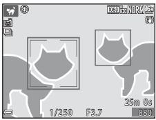 NIKON COOLPIX S9900 - Zone demise au point - 1