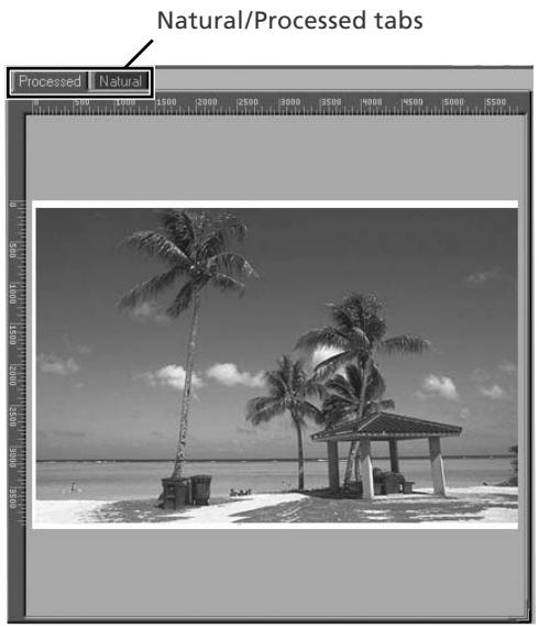 NIKON COOLSCAN 9000,  9000 - The Preview Area - 1