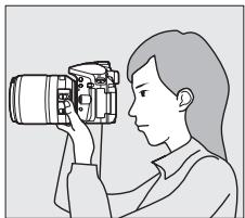NIKON D5300 - Préparer l'appareil photo. - 2