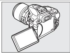NIKON D5300 - Prises de vues selon un angle bas - 1