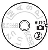 NIKON D7200 - Photographie « viser et photographier » (modes AUTO et ③) - 1