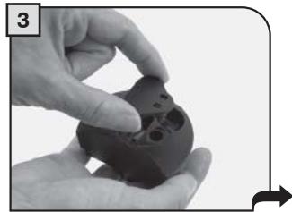 PHILIPS 21000403 - LIMPIEZA MILK ISLAND - 3