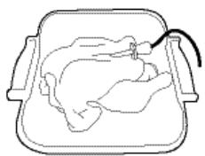 WHIRLPOOL AKZ9626IX - THERMOMÉTRÉ À VIANDE (UNIQUEMENT SUR CERTAINS MODELES) - 2