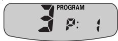 PROGRAM P: 1
