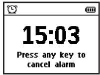 PHILIPS PSS210 - Disabling Alarm during Alarm sound - 1