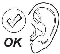 AEG-ELECTROLUX SG2570N - BRUITS - 1