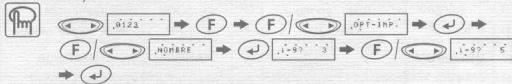 BROTHER P-TOUCH 1000 - Option d'impression / NUMEROTATION - 2