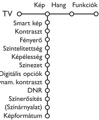 PHILIPS 29PT9020 - Kép - 1