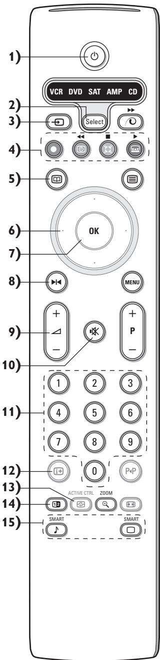 PHILIPS 29PT9020 - Bruk - 1