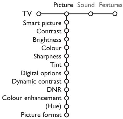 PHILIPS 29PT9020 - Picture menu - 1