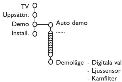 PHILIPS 29PT9020 - Demo - 1