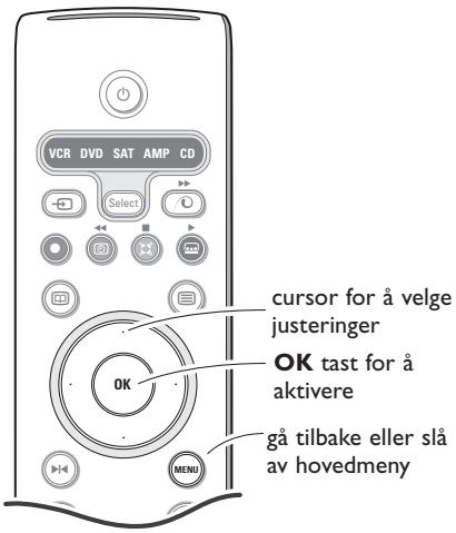 PHILIPS 29PT9020 - Bruk av menyen - 1