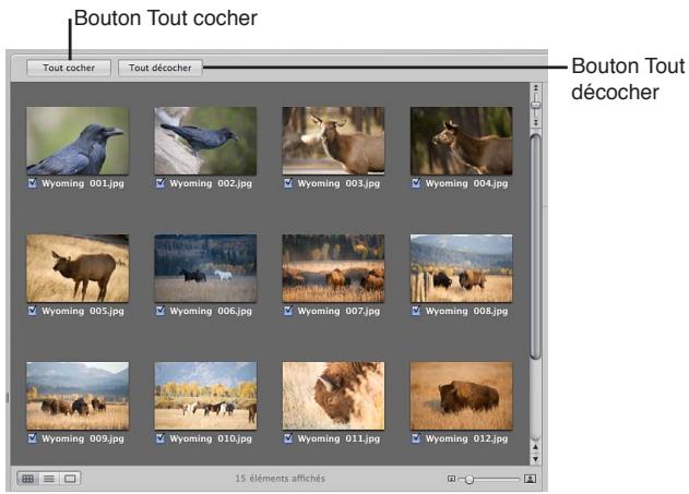 APPLE APERTURE 3.4 - Pour importer des fichiers stockés sur le disque dur de votre ordinateur ou sur tout autre périphérique de stockage - 5
