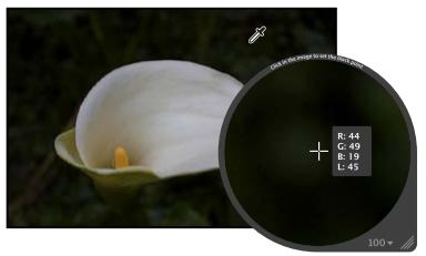 APPLE APERTURE 3.4 - Pour définir le point noir d'une image - 2