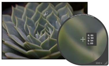 APPLE APERTURE 3.4 - Pour définir le point gris d'une image - 2