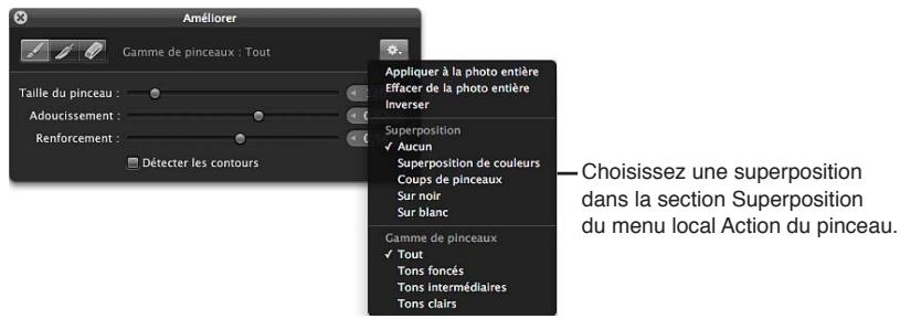 APPLE APERTURE 3.4 - Utilisation des incrustations d'ajustements au pinceau - 6