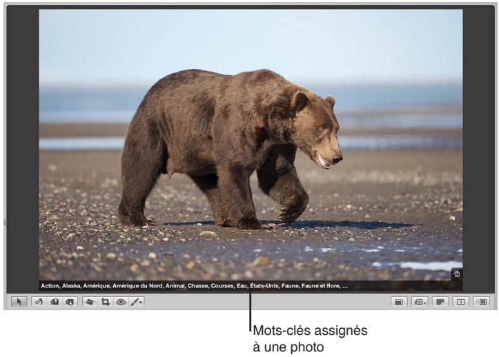 APPLE APERTURE 3.4 - Vue d'ensemble des mots-clés - 1