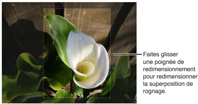 APPLE APERTURE 3.4 - Rognage des images à l'aide de l'outil rogner - 3