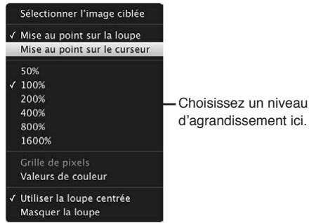 APPLE APERTURE 3.4 - Pour modifier le grossissement de la loupe par niveaux prédéfinis - 1