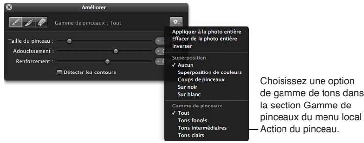 APPLE APERTURE 3.4 - Pour limiter un ajustement au pinceau à une plage tonale spécifique - 1