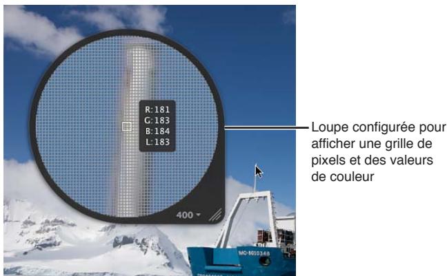 APPLE APERTURE 3.4 - Affichage d'une grille de pixels et des valeurs de couleur - 1
