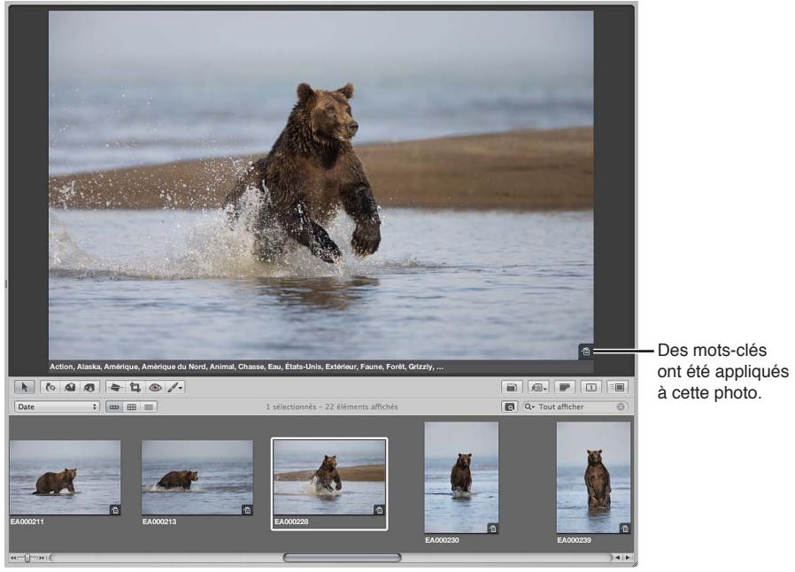 APPLE APERTURE 3.4 - Utilisation des incrustations de badges - 1