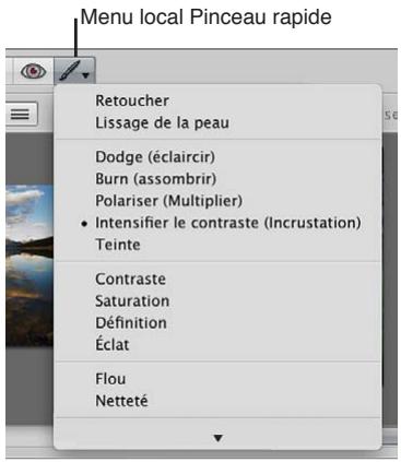 APPLE APERTURE 3.4 - Vue d'ensemble des ajustements appliqués au pinceau - 3