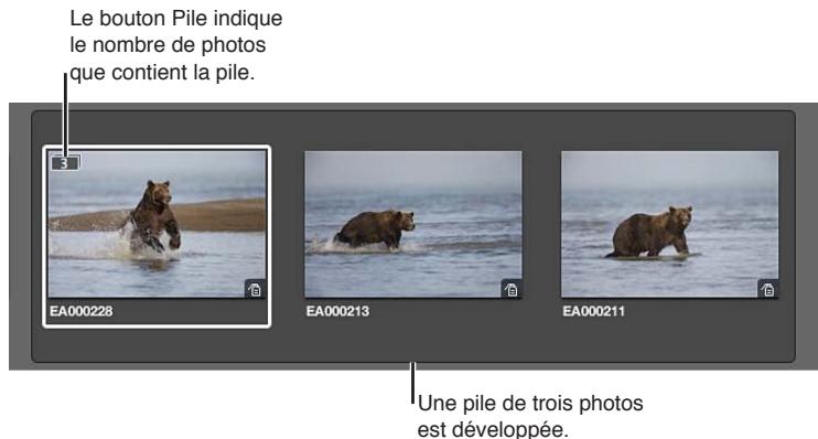 APPLE APERTURE 3.4 - Utilisation de piles dans le navigateur - 1