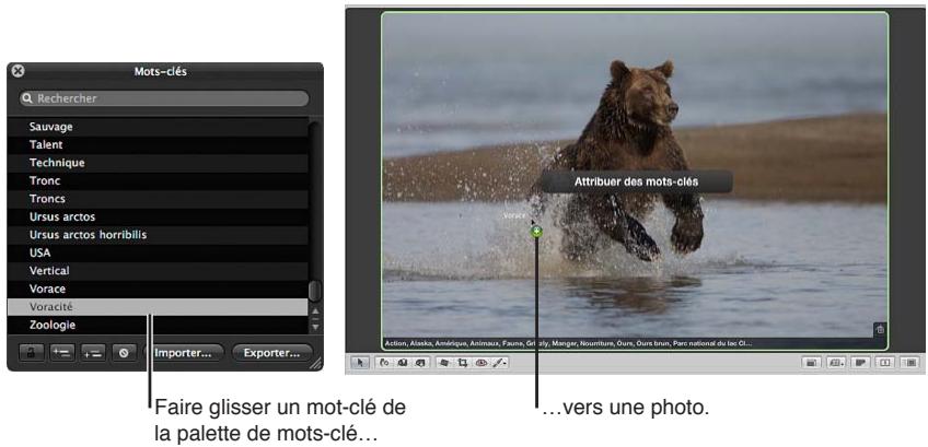 APPLE APERTURE 3.4 - Pour assigner un mot-clé à l'aide de la palette de mots-clés - 1