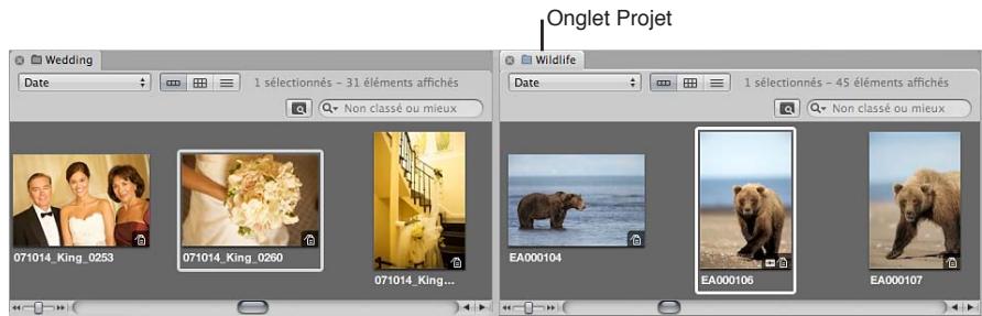 APPLE APERTURE 3.4 - Travail avec plusieurs navigateurs ouverts - 1