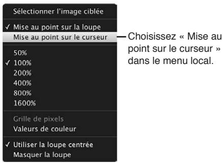 APPLE APERTURE 3.4 - Pour agrandir certaines parties d'une photo à l'aide du pointeur - 1