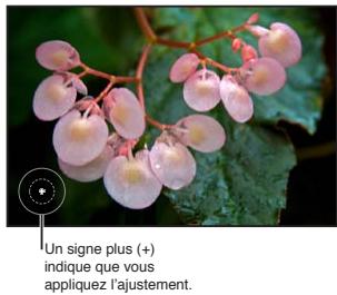 APPLE APERTURE 3.4 - Application d'ajustements au pinceau - 1