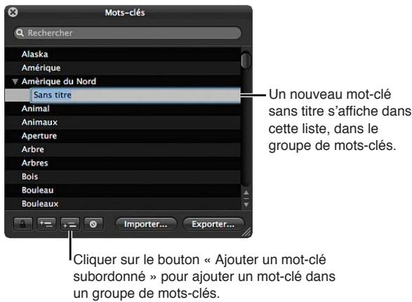APPLE APERTURE 3.4 - Pour ajouter des mots-clés à la bibliothèque de mots-clés - 3