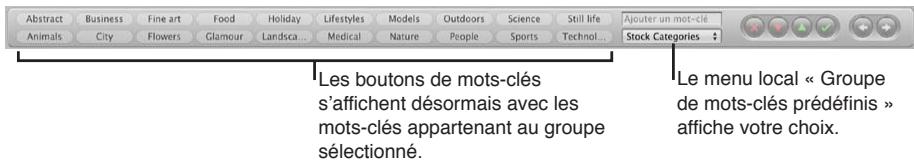 APPLE APERTURE 3.4 - Choix d'un groupe de mots-clés prédéfinis - 2