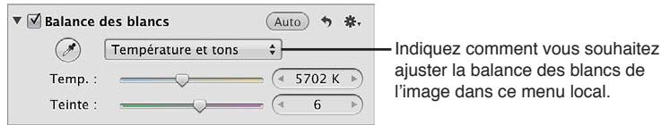 APPLE APERTURE 3.4 - Pour ajuster automatiquement la balance des blancs d'une image à l'aide de la pipette balance des blancs - 1