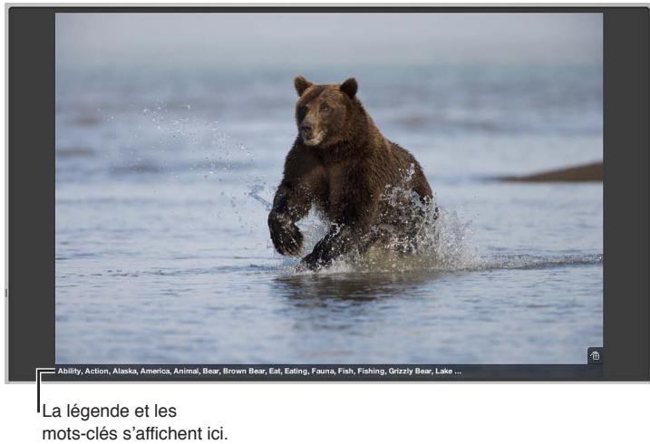 APPLE APERTURE 3.4 - Affichage des métadonnées associées aux photos - 1