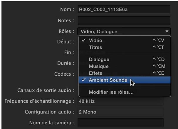 APPLE FINAL CUT PRO X - Création de rôles personnalisés - 4